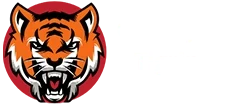 Сomo Jogar Tigrinho